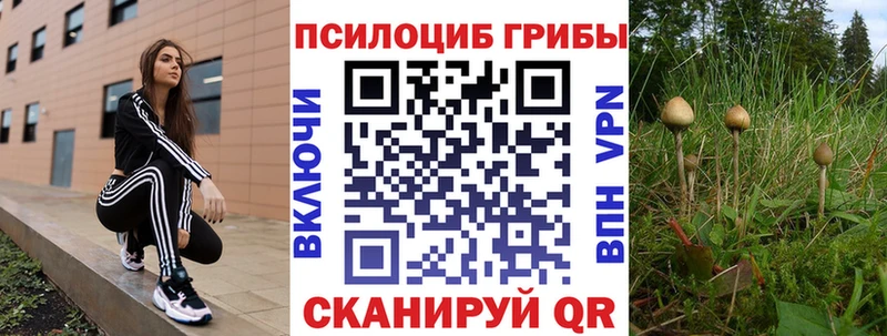 Псилоцибиновые грибы мухоморы  Гаврилов-Ям 